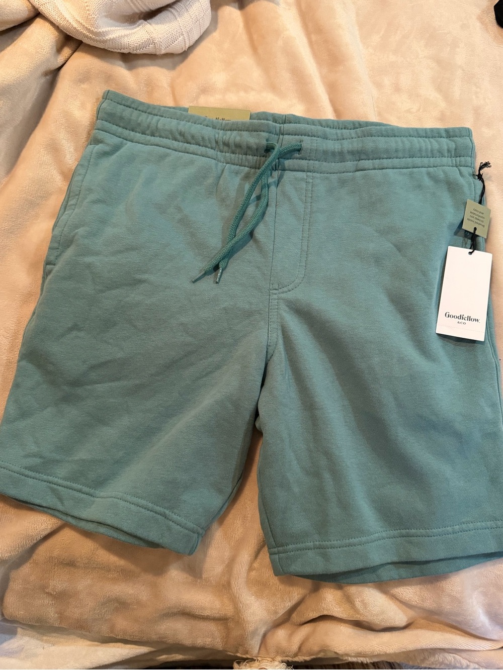 Goodfellow & Co Men's Athletic Drawstring Shorts - Seafoam Green